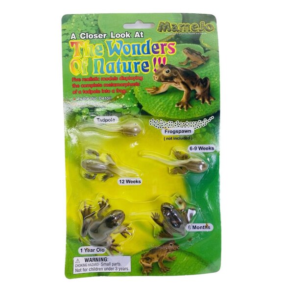 Tadpole to Frog Morphosis Life Cycle Science STEM Toys Set Kit BRAND NEW With au - Picture 6 of 10